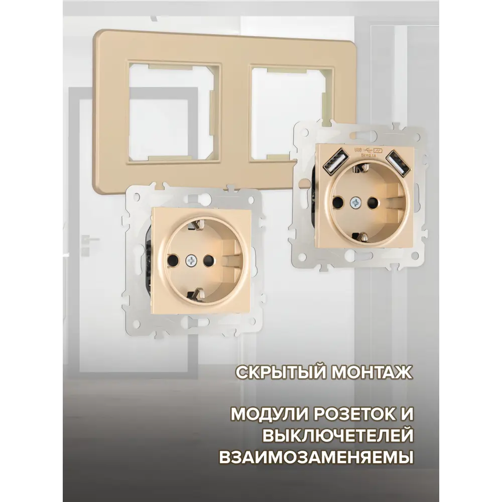 Фото 2 Розетка двойная с USB встраиваемая Arte milano SET16-2-47-1-40-1.shampan с заземлением и шторками цвет шампань Фото 2 Розетка двойная с USB встраиваемая Arte milano SET16-2-47-1-40-1.shampan с заземлением и шторками цвет шампань