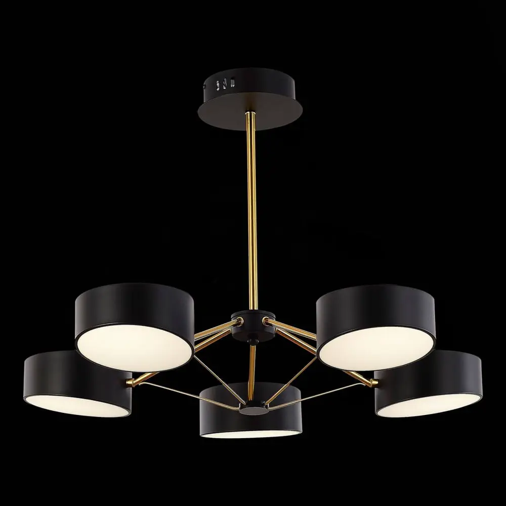 Фото 4 Светильник настенно-потолочный светодиодный ST LUCE SLE6005-402-05 Valle 18 м² холодный белый свет цвет золото Фото 4 Светильник настенно-потолочный светодиодный ST LUCE SLE6005-402-05 Valle 18 м² холодный белый свет цвет золото