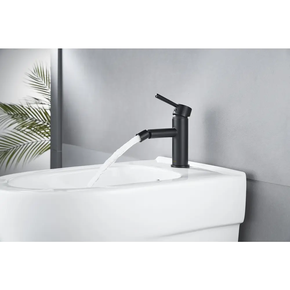 Фото 5 Смеситель для биде Maxonor pure life Pl5087-7 с гигиеническим душем цвет Черный матовый, Черный