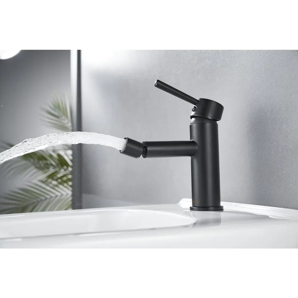 Фото 7 Смеситель для биде Maxonor pure life Pl5087-7 с гигиеническим душем цвет Черный матовый, Черный