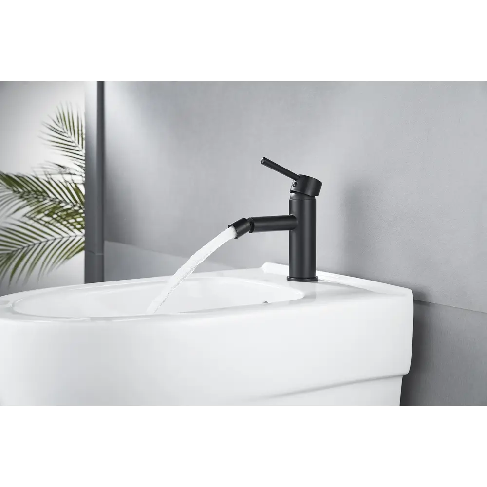 Фото 2 Смеситель для биде Maxonor pure life Pl5087-7 с гигиеническим душем цвет Черный матовый, Черный