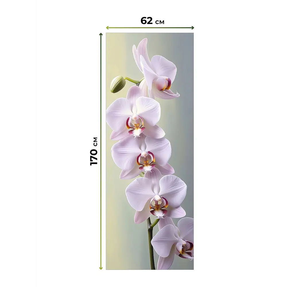 Фото 7 Рулонная штора At home Рултис 62x170 см цвет бежевый/зеленый/серый/желтый/розовый Фото 7 Рулонная штора At home Рултис 62x170 см цвет бежевый/зеленый/серый/желтый/розовый
