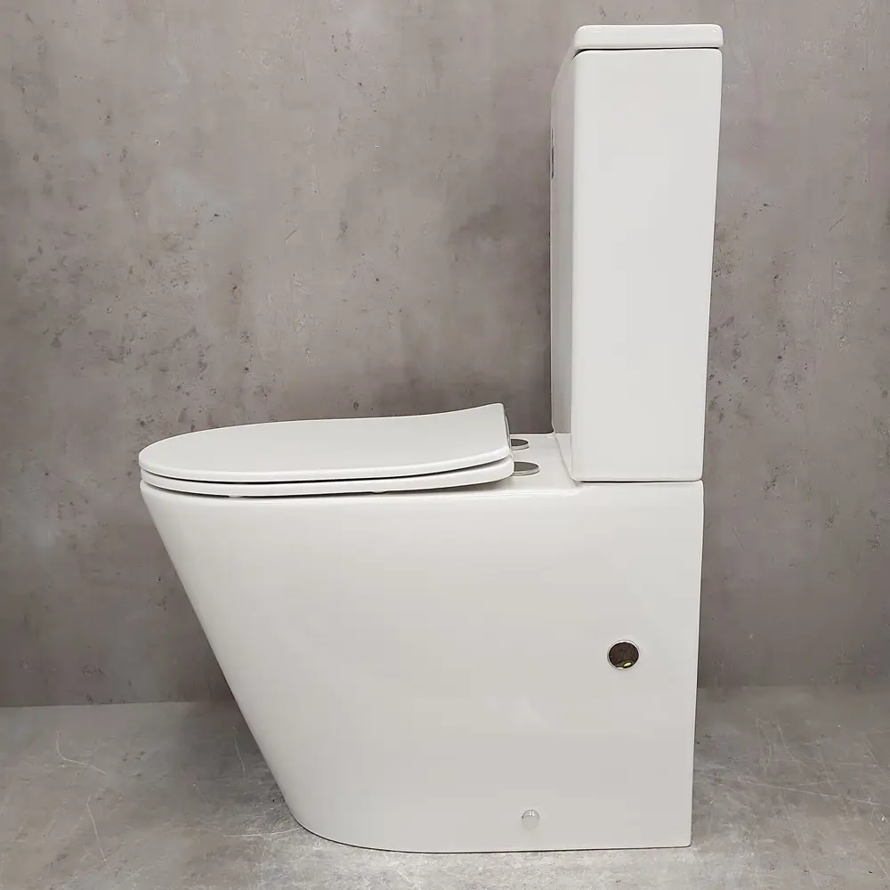 Фото 11 Унитаз-компакт Bloomix Salchow AD3093SB/UF1 Ceramic+ безободковый с функцией биде и смесителем Фото 11 Унитаз-компакт Bloomix Salchow AD3093SB/UF1 Ceramic+ безободковый с функцией биде и смесителем
