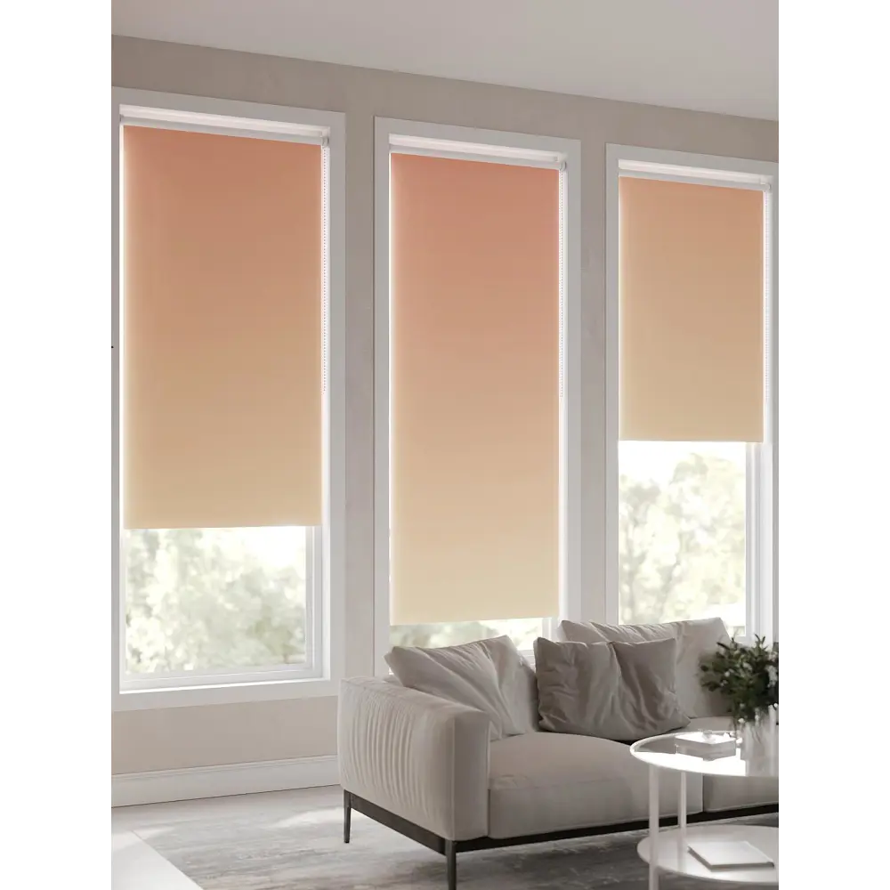 Фото 10 Рулонная штора At Home Лирикас AT782279068, 68x170 см, цвет бежевый, оранжевый