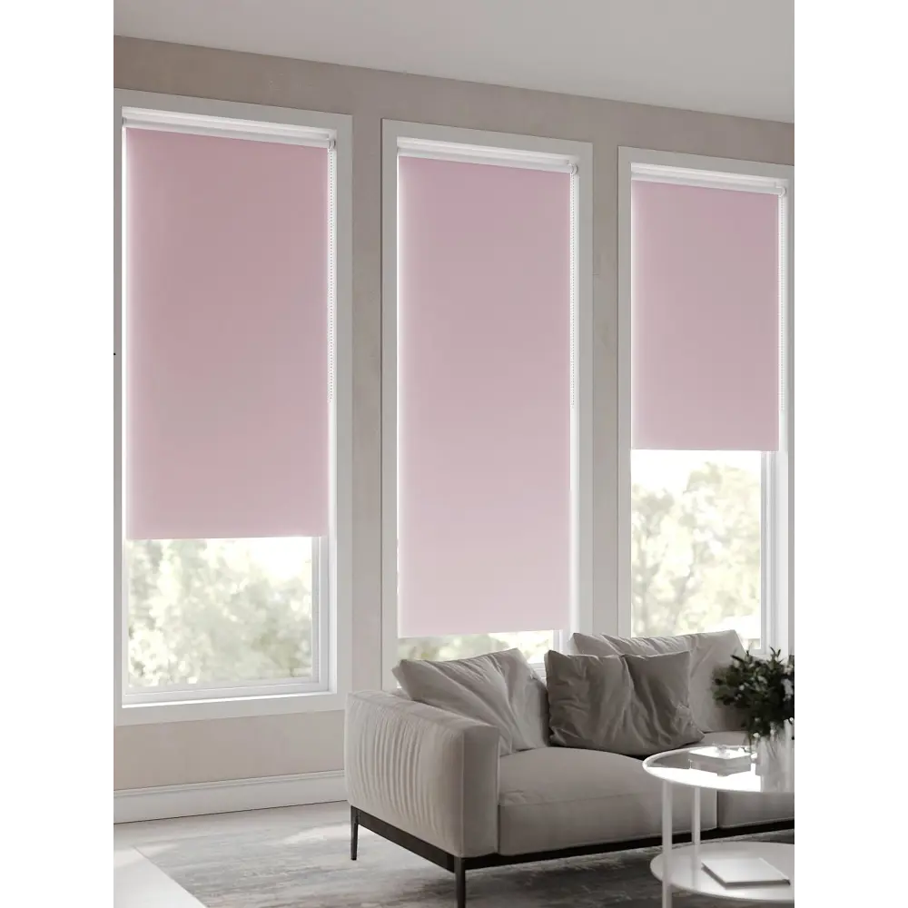 Фото 7 Рулонная штора At Home Ронлирт AT782328057 57x170 см, цвет розовый