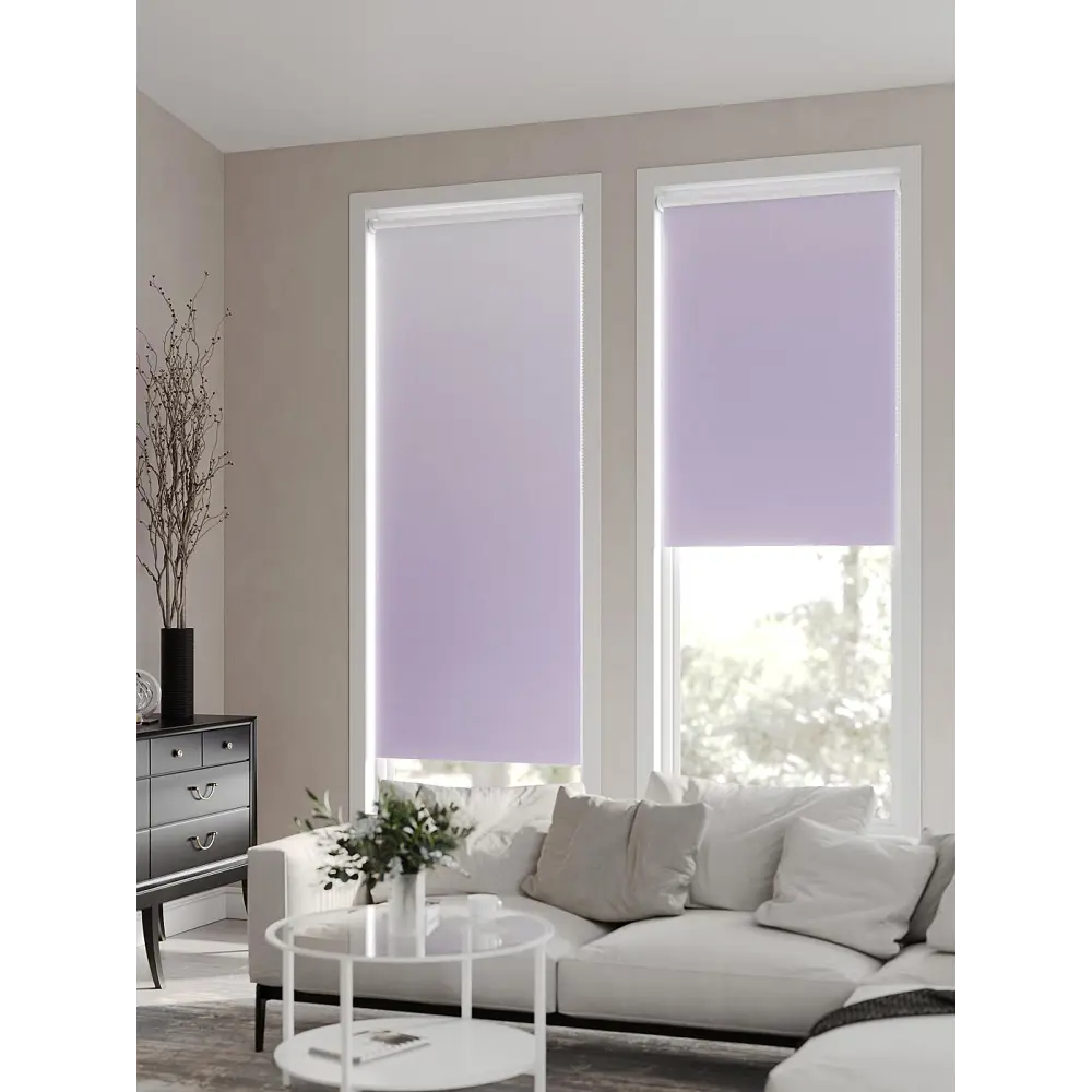 Фото 9 Рулонная штора At Home Ронлирт AT782353057 57x170 см, цвет белый