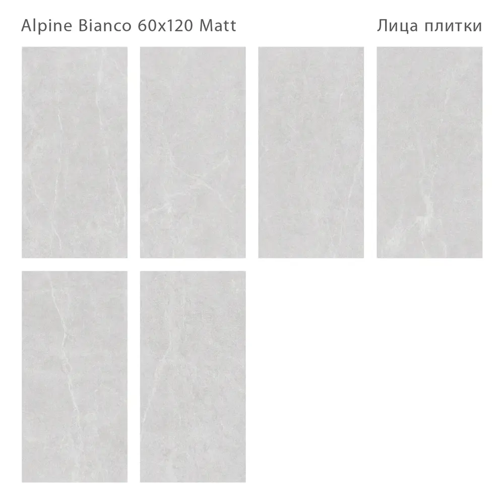 Фото 4 Керамогранит Staro Silk 60х120 1237543 60x120см цвет серый / серебристый Фото 4 Керамогранит Staro Silk 60х120 1237543 60x120см цвет серый / серебристый