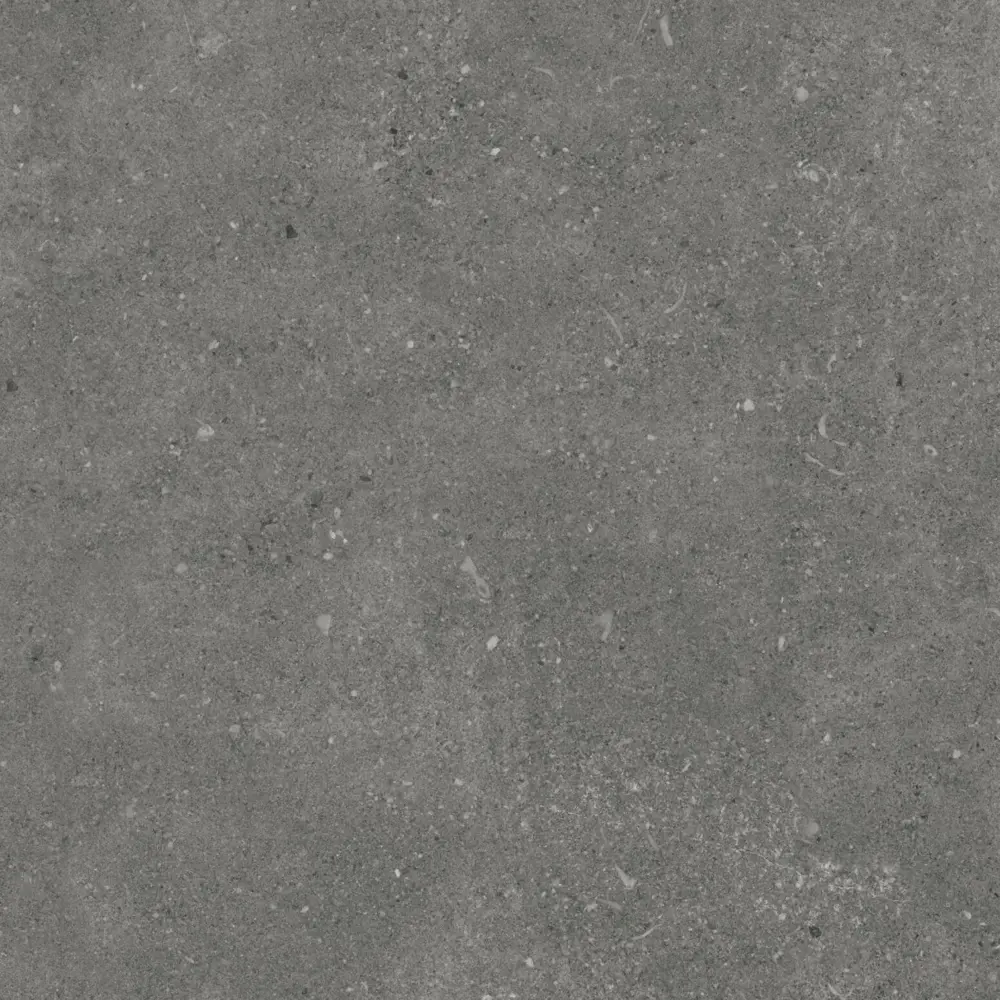 Фото 2 Керамогранит Eurotile Shellstone 7930138704538 60x60см цвет серый/серебристый Фото 2 Керамогранит Eurotile Shellstone 7930138704538 60x60см цвет серый/серебристый