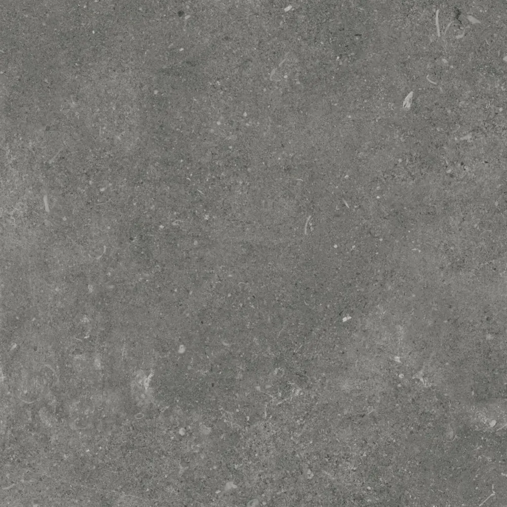 Фото 3 Керамогранит Eurotile Shellstone 7930138704538 60x60см цвет серый/серебристый Фото 3 Керамогранит Eurotile Shellstone 7930138704538 60x60см цвет серый/серебристый