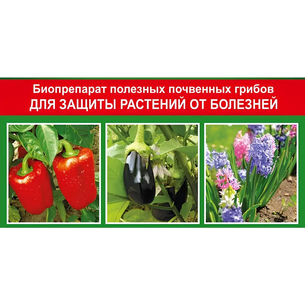 Фото 3 Удобрение БиоФунгицид Триходерма Вериде для защиты растений 120 г Фото 3 Удобрение БиоФунгицид Триходерма Вериде для защиты растений 120 г