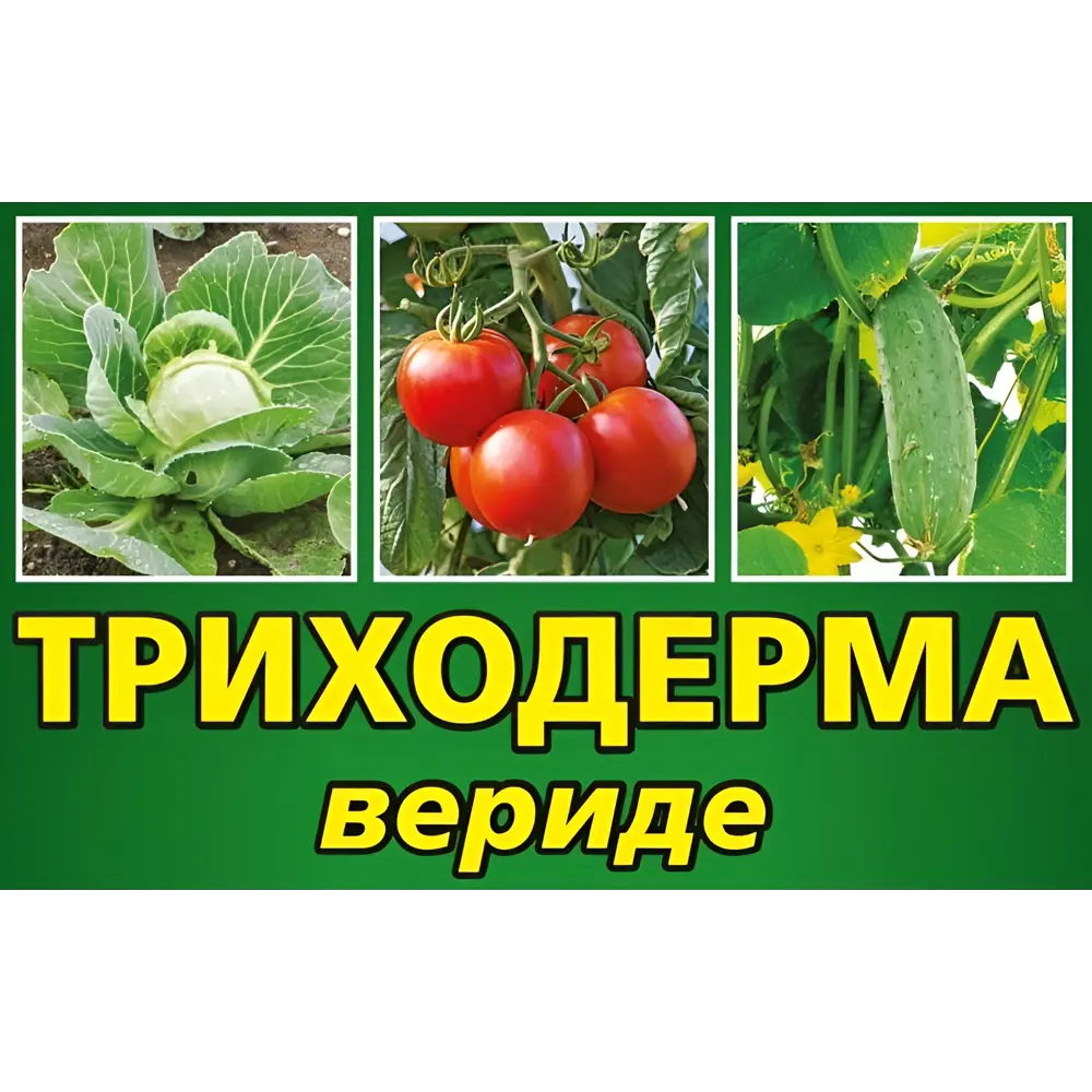 Фото 2 Удобрение БиоФунгицид Триходерма Вериде для защиты растений 120 г Фото 2 Удобрение БиоФунгицид Триходерма Вериде для защиты растений 120 г