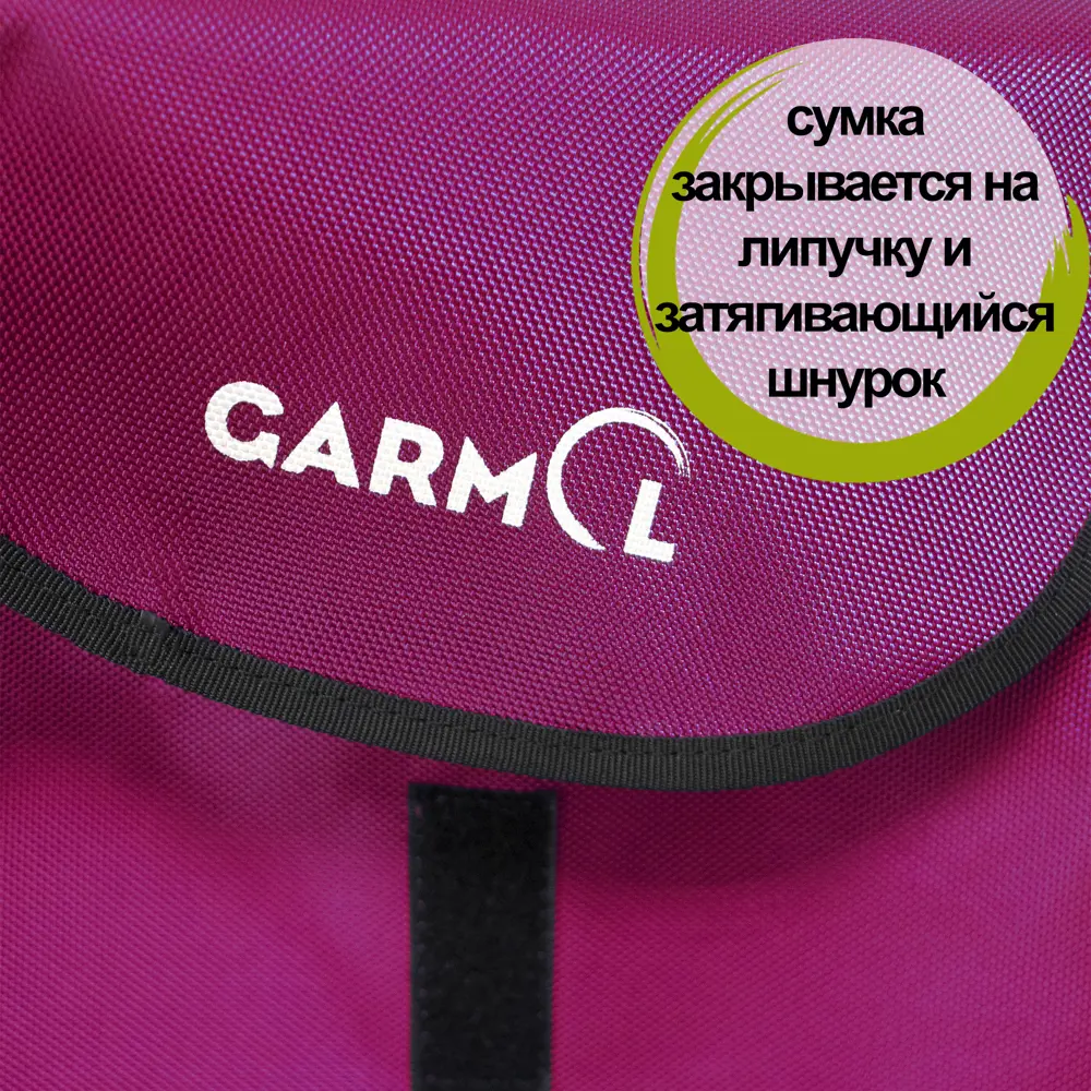 Фото 3 Сумка-тележка Garmol Travel Termico на шасси G5 цвет розовый Фото 3 Сумка-тележка Garmol Travel Termico на шасси G5 цвет розовый
