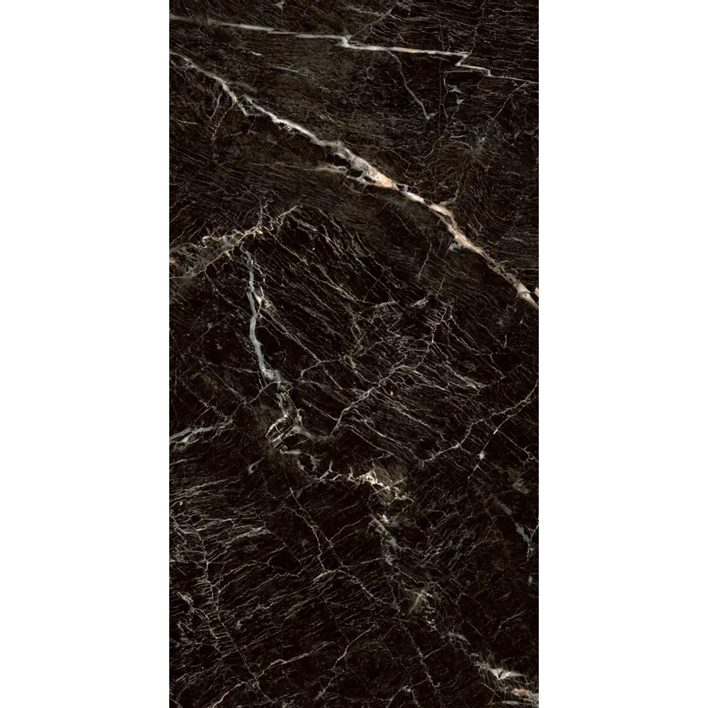 Фото 2 Керамогранит Premium gt Zebrano_pgt PGT1206010105MGR 60x120см цвет черный Фото 2 Керамогранит Premium gt Zebrano_pgt PGT1206010105MGR 60x120см цвет черный