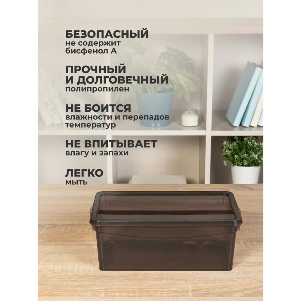 Фото 8 Ящик для личных вещей Econova 40x33.50x17 см полипропилен цвет коричневый
