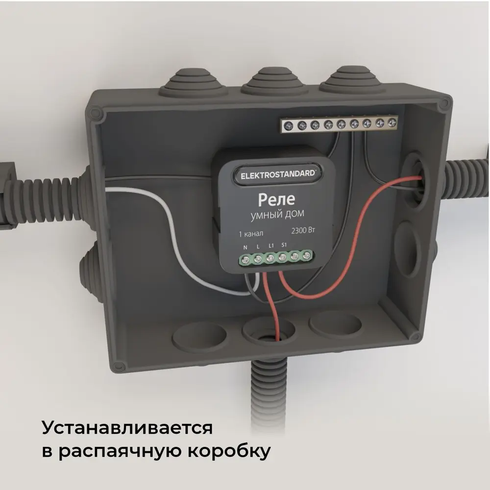 Фото 16 Умное одноканальное реле Elektrostandard 76006/00 цвет черный Фото 16 Умное одноканальное реле Elektrostandard 76006/00 цвет черный