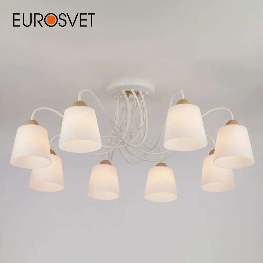Фото Люстра потолочная Eurosvet 70062/8 белый Фото Люстра потолочная Eurosvet 70062/8 белый