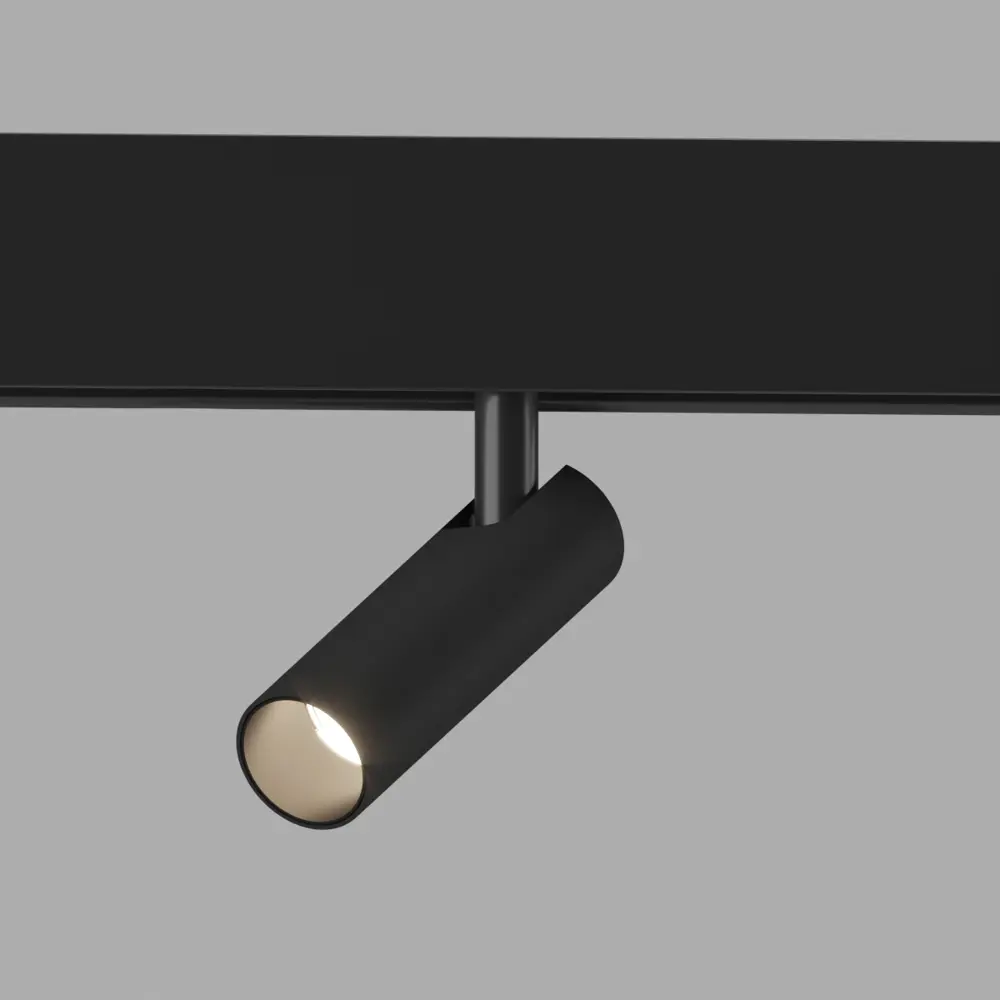 Фото 2 Трековый светильник спот Elektrostandard Slim Magnetic a063530 19см 7 Вт IP20 48В 2 м² Изменение оттенков белого цвет Черный Фото 2 Трековый светильник спот Elektrostandard Slim Magnetic a063530 19см 7 Вт IP20 48В 2 м² Изменение оттенков белого цвет Черный