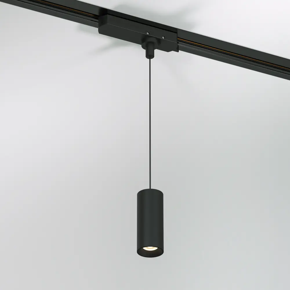 Фото 2 Трековый светильник подвесной светодиодный Elektrostandard A065337 12 Вт 3 м² цвет черный Фото 2 Трековый светильник подвесной светодиодный Elektrostandard A065337 12 Вт 3 м² цвет черный
