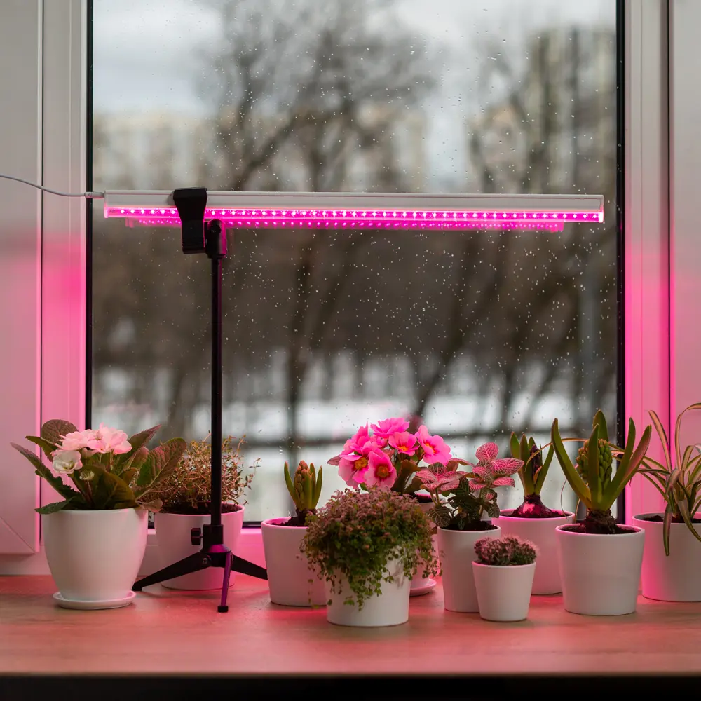 Фото 22 Фитосветильник линейный светодиодный Ritter Planta 56297 9 14Вт 880мм провод 2м с выключателем на корпусе цвет белый Фото 22 Фитосветильник линейный светодиодный Ritter Planta 56297 9 14Вт 880мм провод 2м с выключателем на корпусе цвет белый