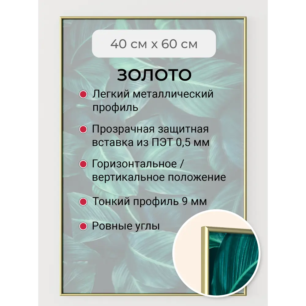 Фото Рамка Первое ателье Niel-2gm-40x60 см, алюминий, цвет золотой