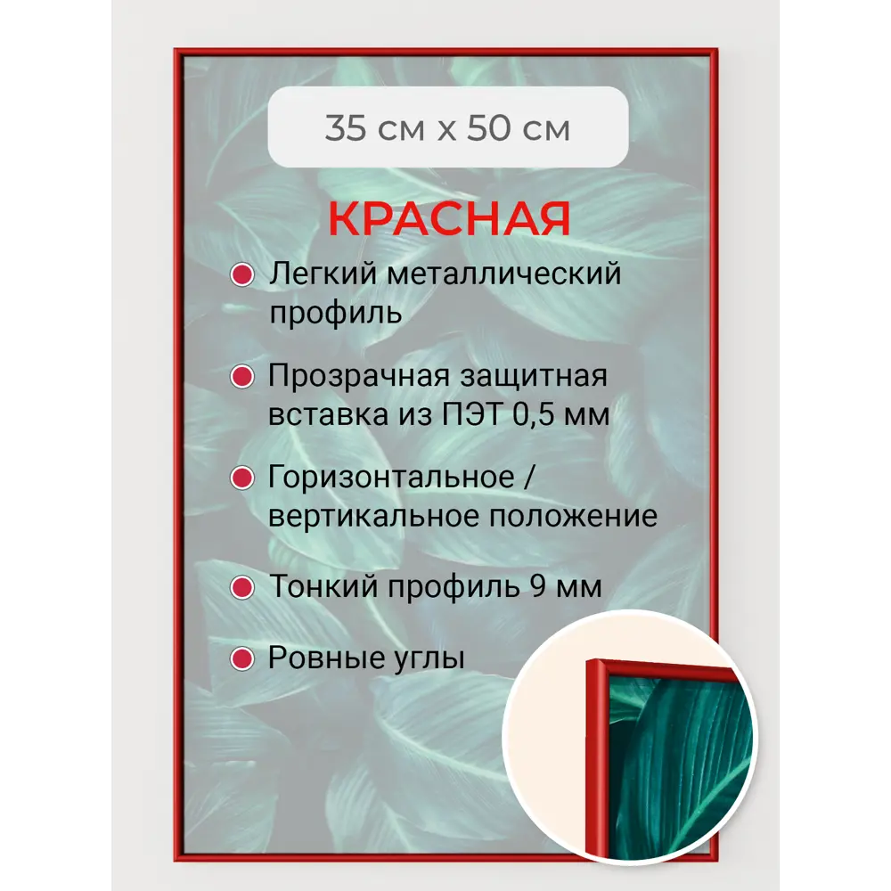 Фото Рамка Первое ателье Niel-2rg-35x50 см, алюминий, цвет красный Фото Рамка Первое ателье Niel-2rg-35x50 см, алюминий, цвет красный
