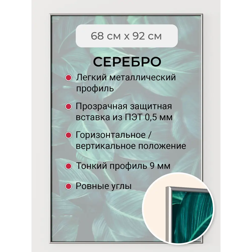 Фото Рамка Первое ателье Niel-2sm-92x68, 92x68 см, алюминий Фото Рамка Первое ателье Niel-2sm-92x68, 92x68 см, алюминий