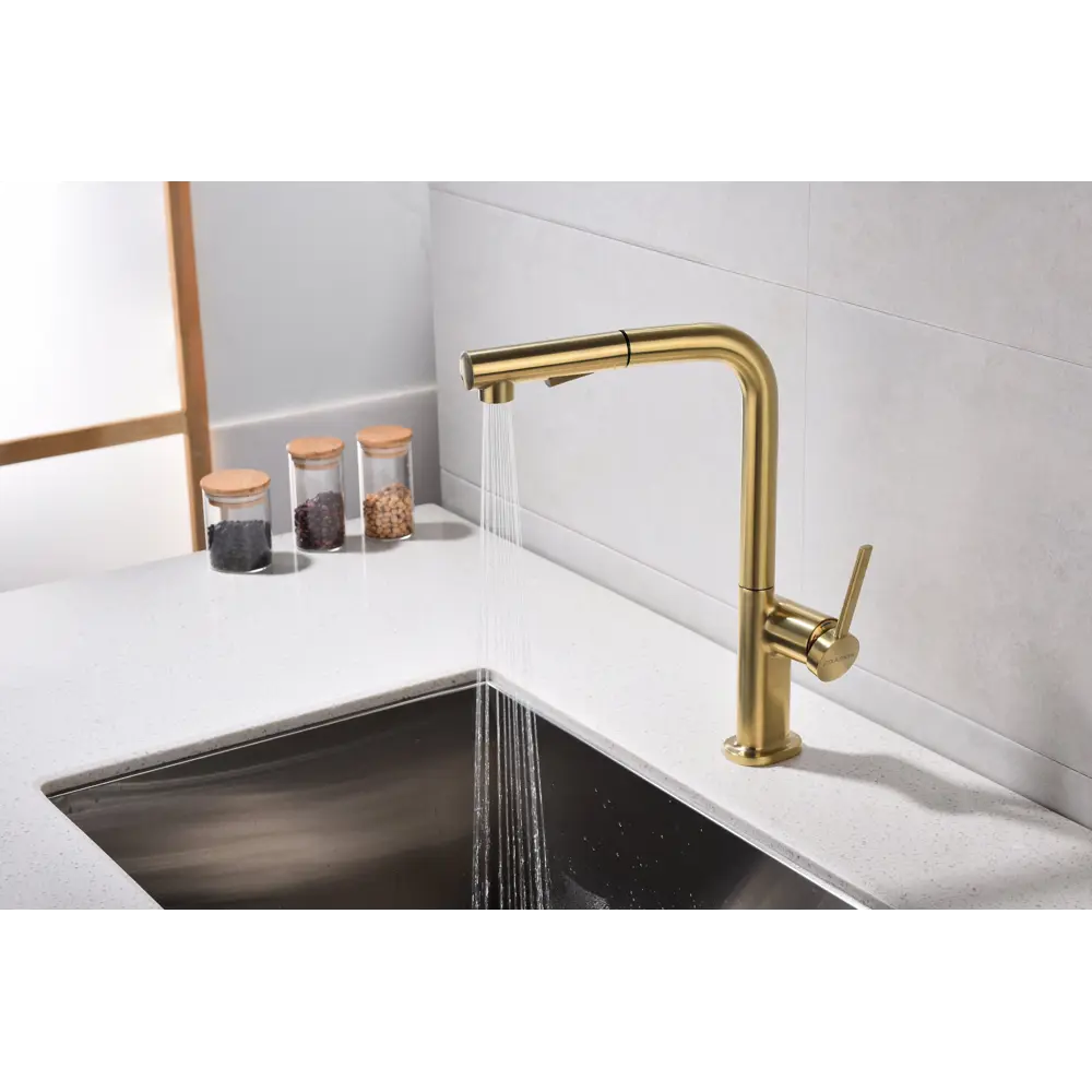 Фото 13 Смеситель для кухни Neo светлое брашированное золото Ne214419-SBG Starke-Paulmark Фото 13 Смеситель для кухни Neo светлое брашированное золото Ne214419-SBG Starke-Paulmark