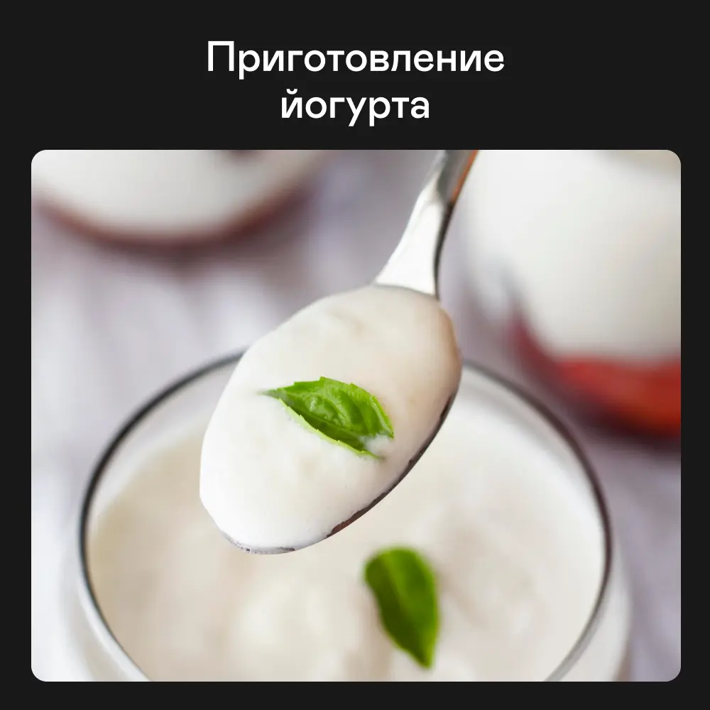 Фото 11 Сушилка электрическая для овощей и фруктов GARLYN D-12. Дегидратор для мяса и рыбы. 10 уровней, 10 поддонов для пастилы, 10 сеток для сушки трав