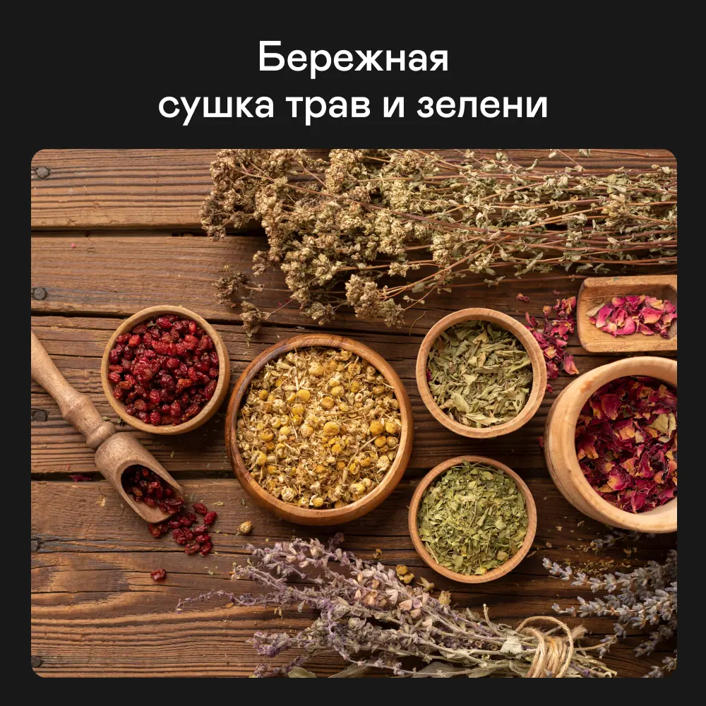 Фото 4 Сушилка электрическая для овощей и фруктов GARLYN D-12. Дегидратор для мяса и рыбы. 10 уровней, 10 поддонов для пастилы, 10 сеток для сушки трав