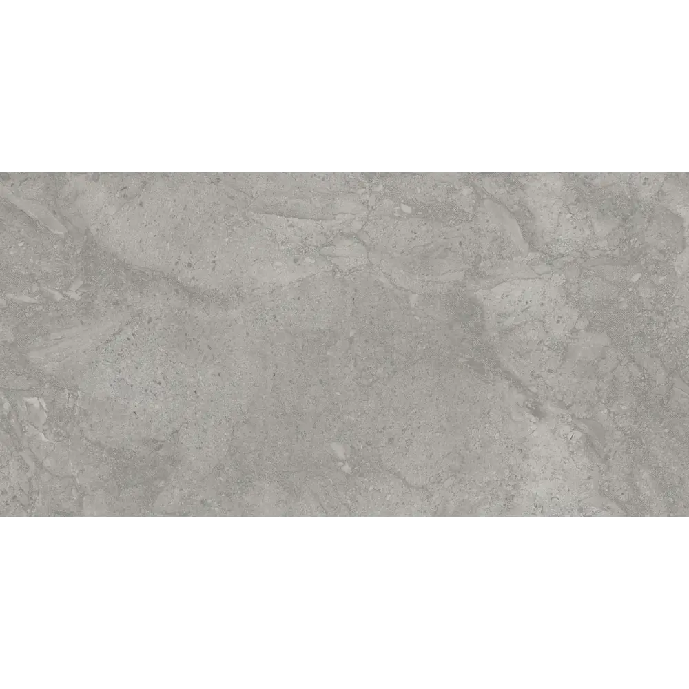 Фото 5 Керамогранит Eurotile Reef stone 7930138703142 60x120см цвет серый/серебристый Фото 5 Керамогранит Eurotile Reef stone 7930138703142 60x120см цвет серый/серебристый