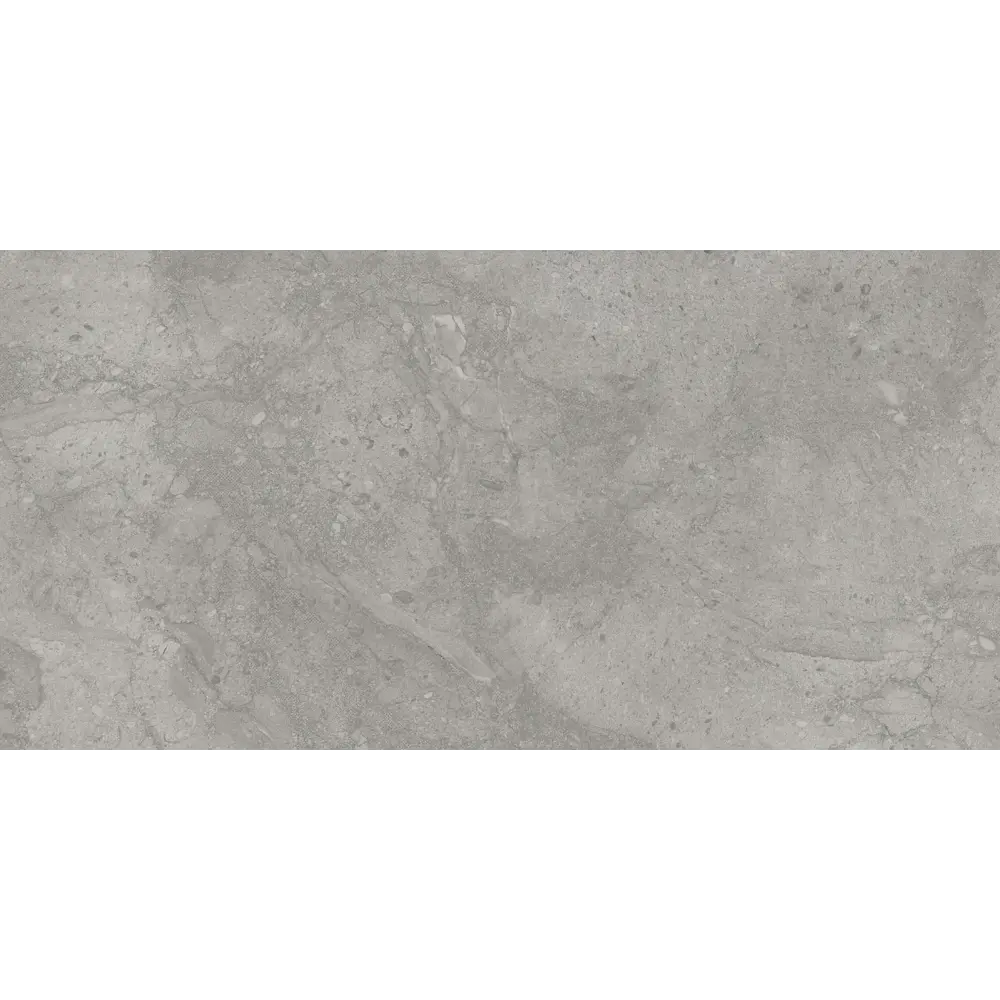 Фото 4 Керамогранит Eurotile Reef stone 7930138703142 60x120см цвет серый/серебристый Фото 4 Керамогранит Eurotile Reef stone 7930138703142 60x120см цвет серый/серебристый