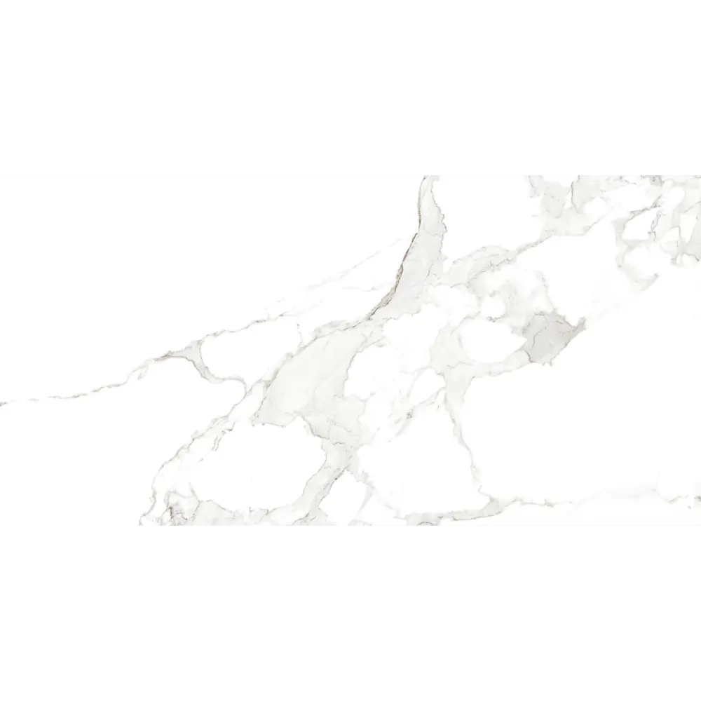Фото 2 Керамогранит Eurotile Sig 7930138702503 60x120см цвет серый/серебристый Фото 2 Керамогранит Eurotile Sig 7930138702503 60x120см цвет серый/серебристый