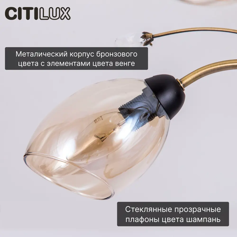 Фото 7 Люстра Citilux Комета CL108185 E14 8 ламп 23 м² Фото 7 Люстра Citilux Комета CL108185 E14 8 ламп 23 м²