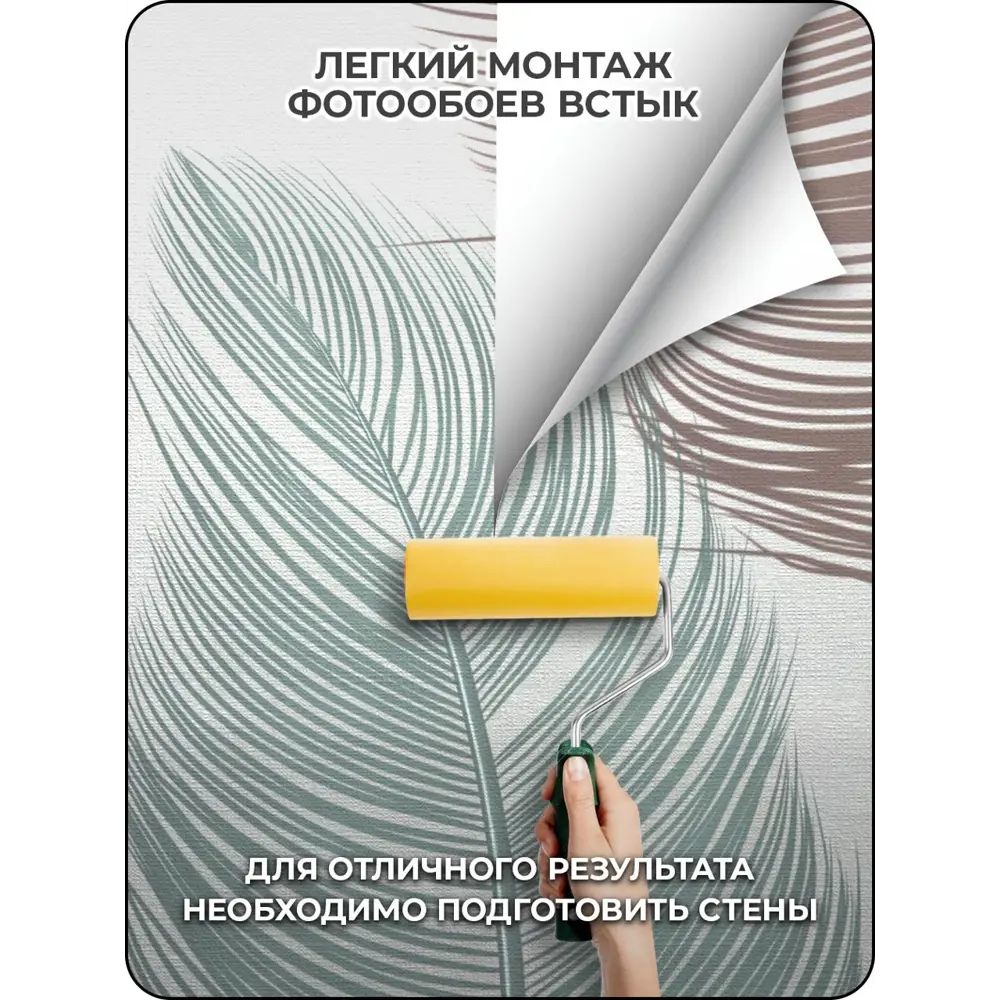 Фото 8 Фотообои флизелиновые 3D Verol 300x283 см Перья 132-ФФО-04652 Фото 8 Фотообои флизелиновые 3D Verol 300x283 см Перья 132-ФФО-04652