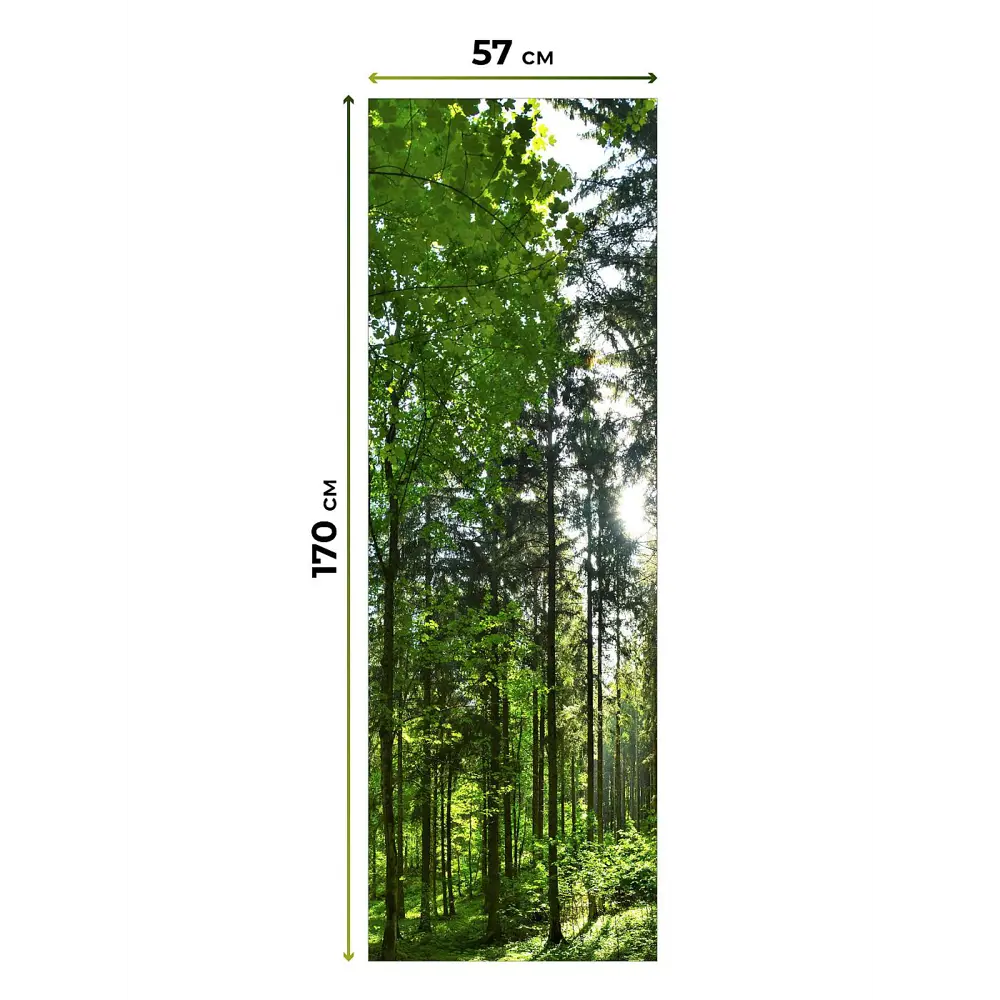 Фото 7 Рулонная штора блэкаут At Home НокретAT785052057, 57x170см, цвет белый, зеленый Фото 7 Рулонная штора блэкаут At Home НокретAT785052057, 57x170см, цвет белый, зеленый