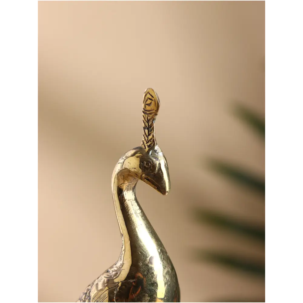 Фото 3 Сувенир бронза Павлин 8х8х18 см 10176445 Фото 3 Сувенир бронза Павлин 8х8х18 см 10176445