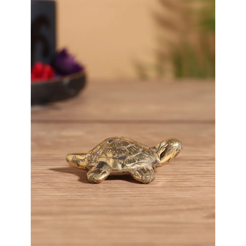 Фото 2 Сувенир бронза Черепашка 7х5х2 см 10176579