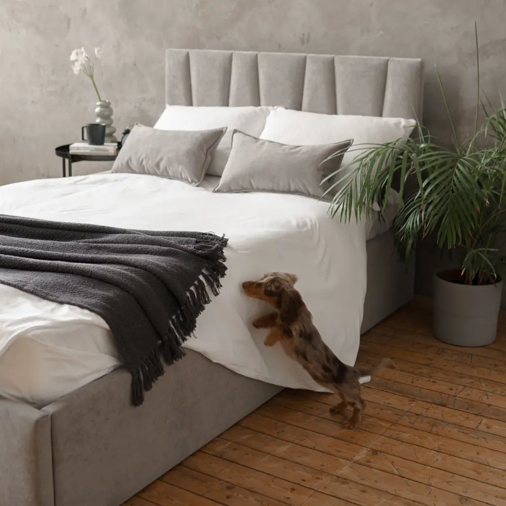 Фото 4 Кровать Izzihome Kelly 149x100x212 см дсп цвет серый Фото 4 Кровать Izzihome Kelly 149x100x212 см дсп цвет серый