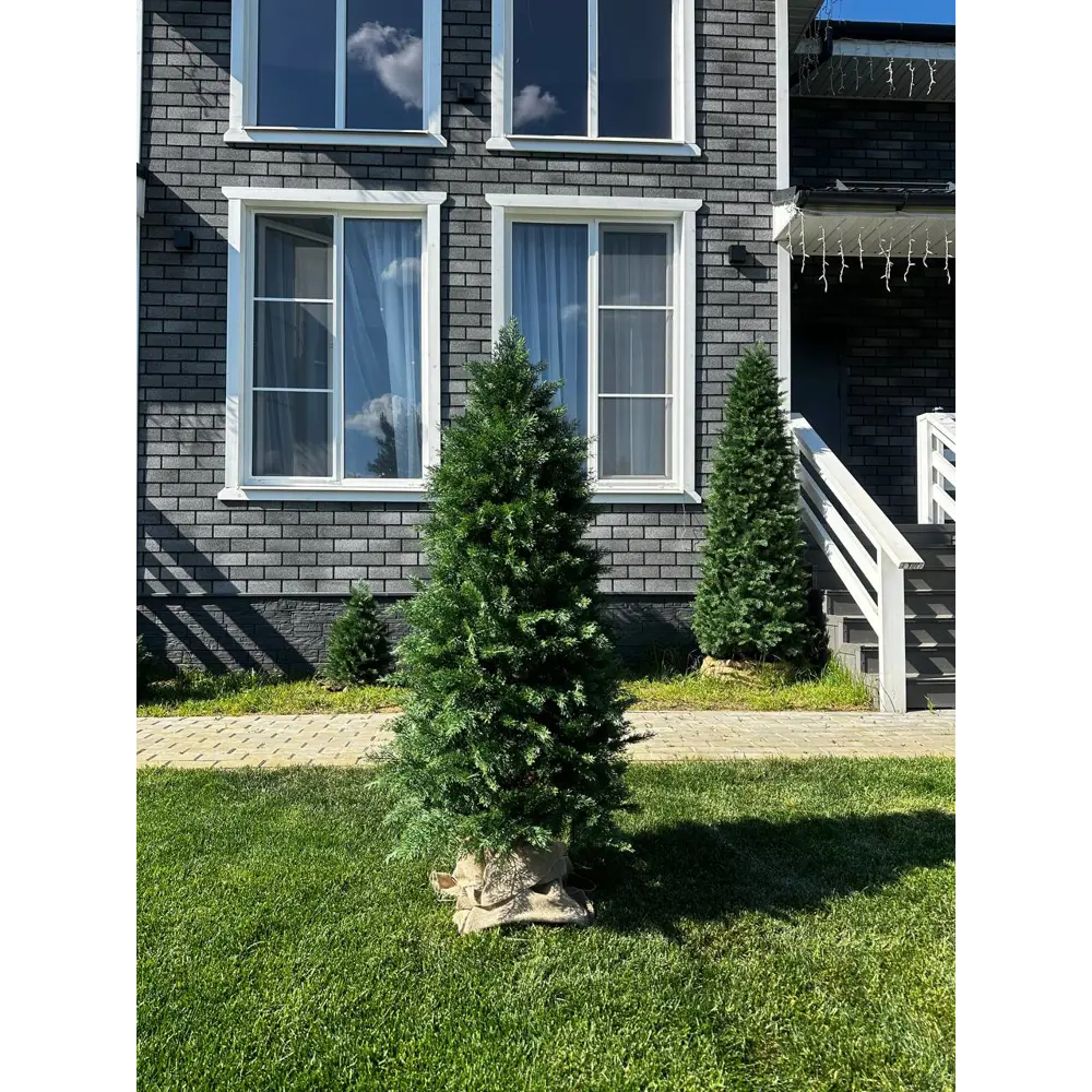 Фото Искусственное дерево Туя Crystal Trees ТУ-210 210 см Фото Искусственное дерево Туя Crystal Trees ТУ-210 210 см