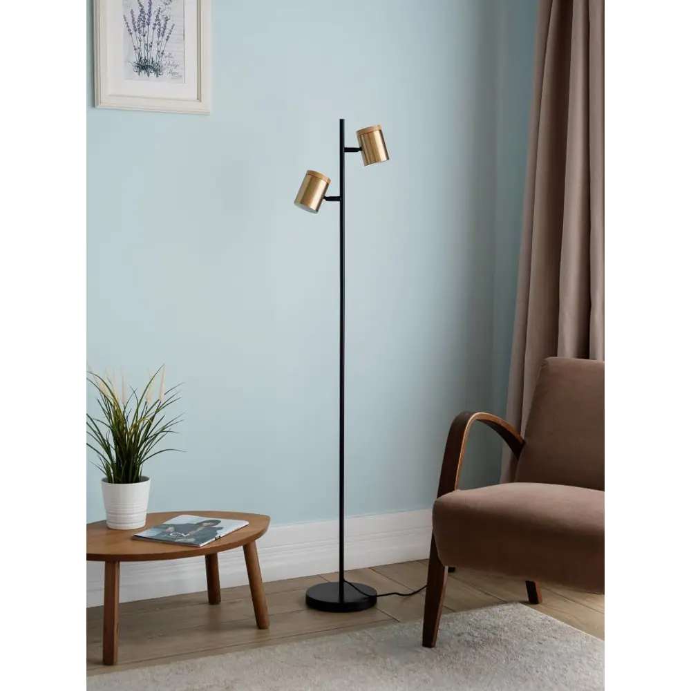 Фото Торшер Asconnect AS3380-2Brass-Black цвет черный Фото Торшер Asconnect AS3380-2Brass-Black цвет черный