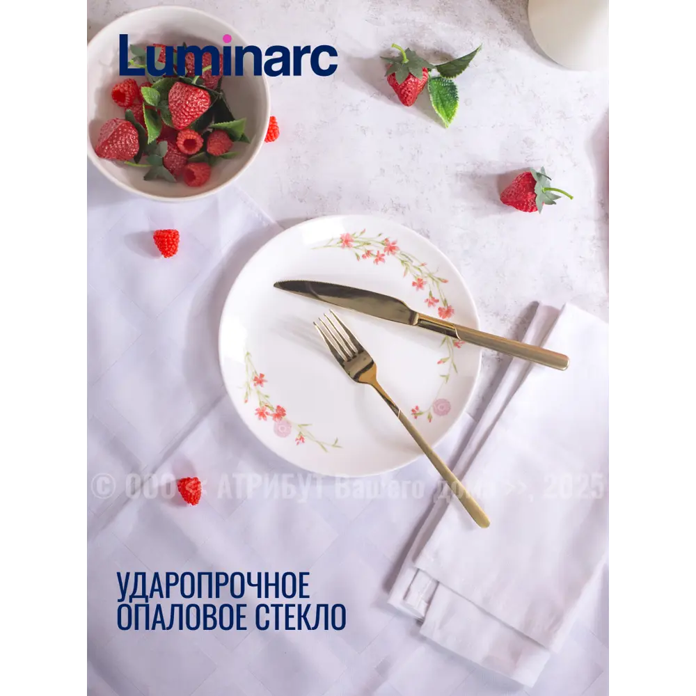 Фото 5 Тарелка 21 см Luminarc V9379-4ECOM Стекло цвет белый Фото 5 Тарелка 21 см Luminarc V9379-4ECOM Стекло цвет белый