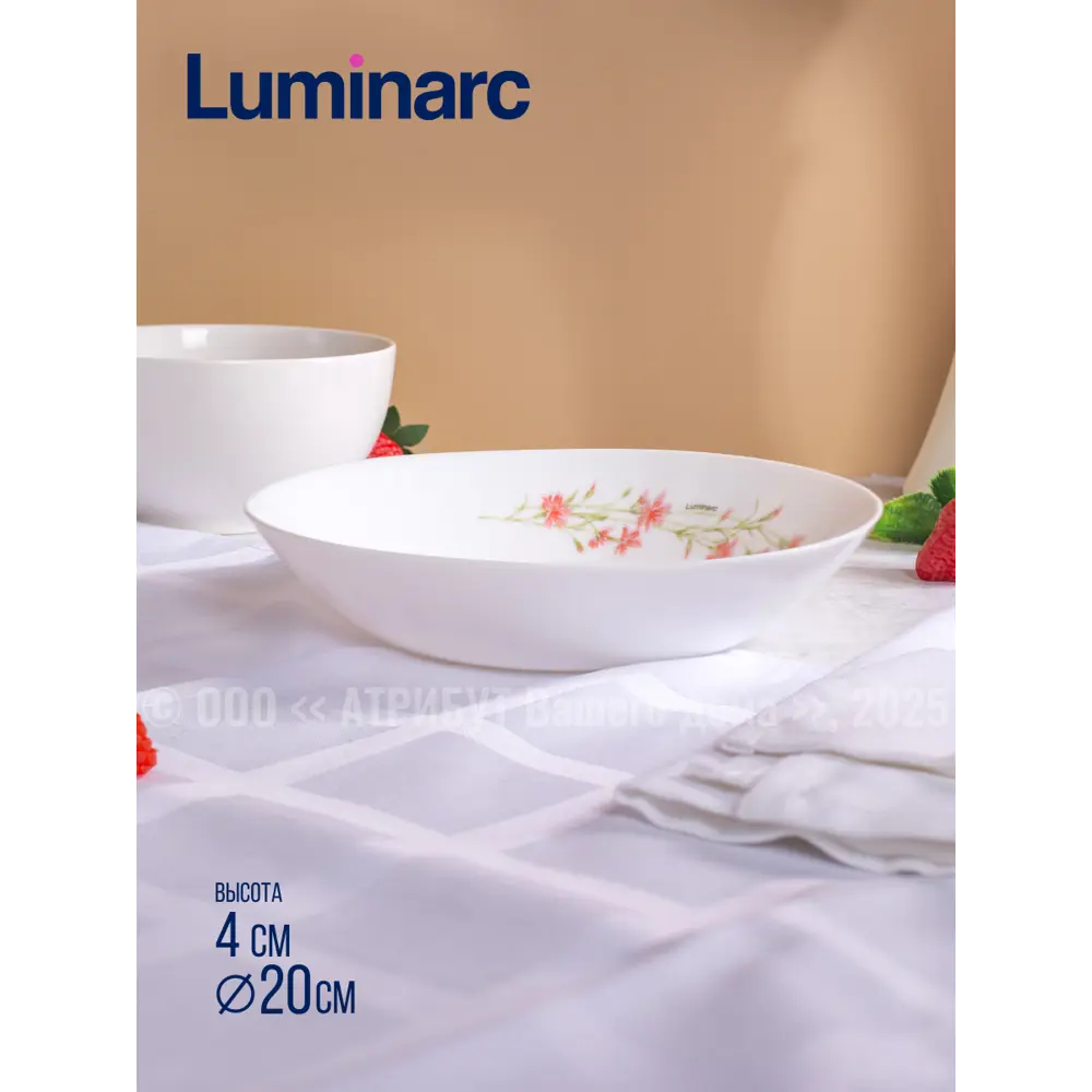 Фото 4 Тарелка 25 см Luminarc V9380-4ECOM Стекло цвет белый Фото 4 Тарелка 25 см Luminarc V9380-4ECOM Стекло цвет белый
