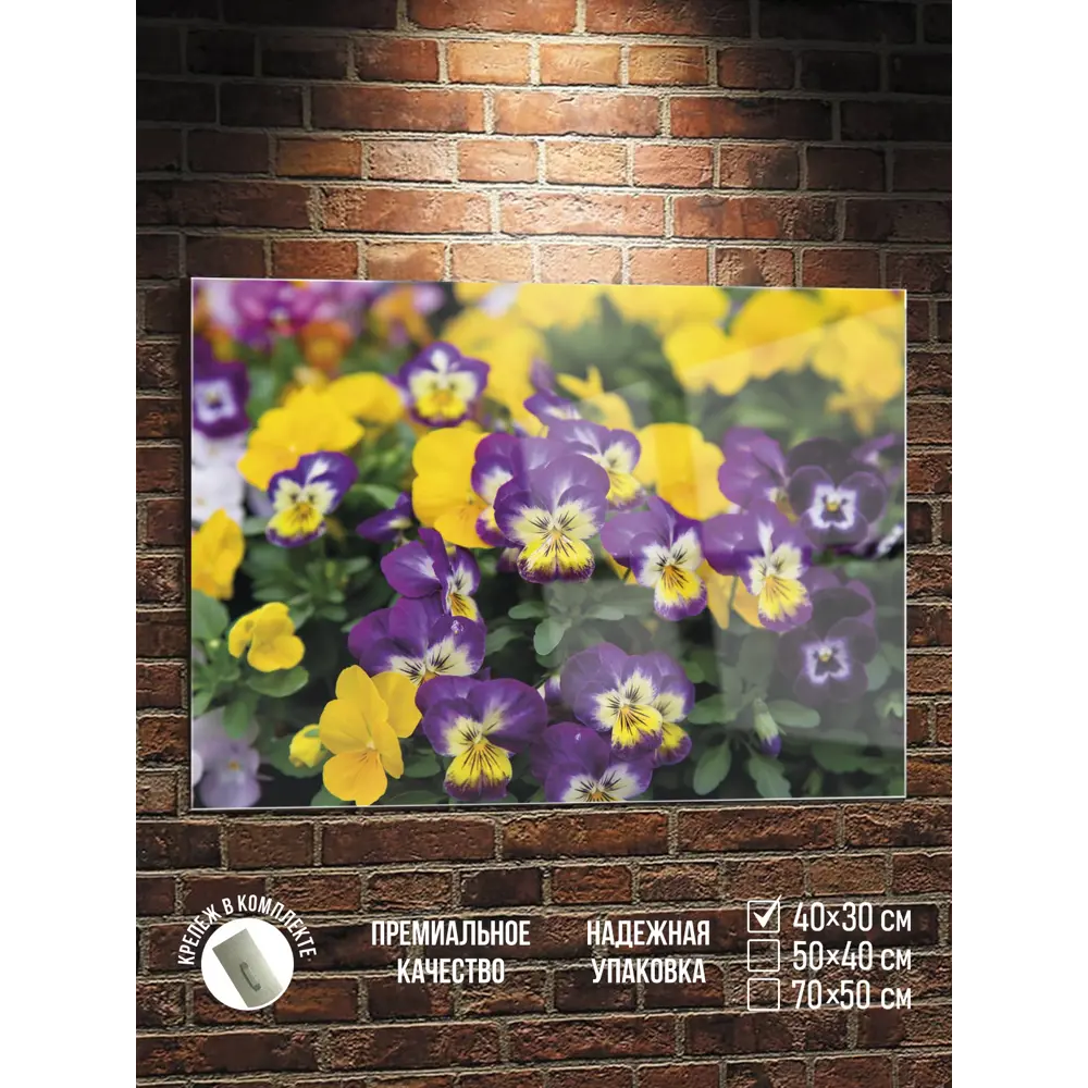 Фото Картина Полицентр Анютины глазки в саду 30x40 см Фото Картина Полицентр Анютины глазки в саду 30x40 см