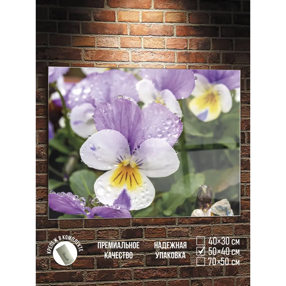 Фото Картина Полицентр Капли росы на фиалке 40x50 см Фото Картина Полицентр Капли росы на фиалке 40x50 см
