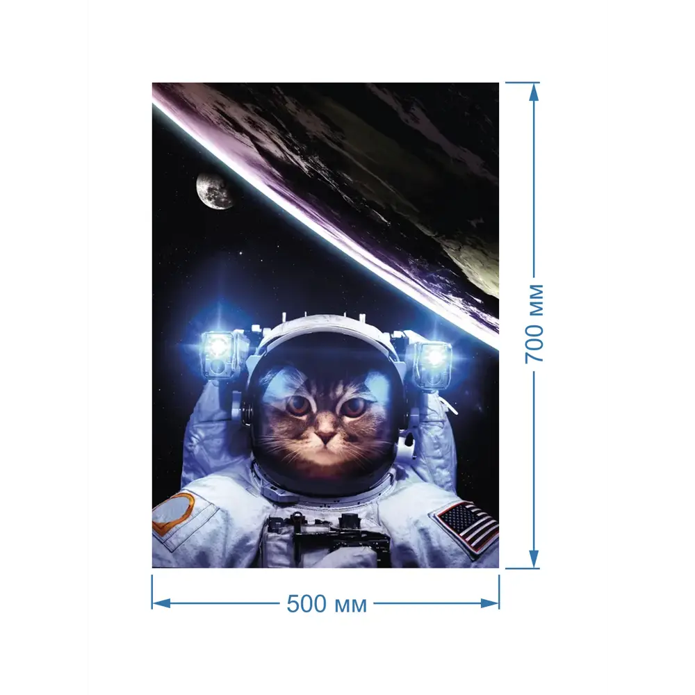 Фото 2 Картина Полицентр Кот космонавт на орбите 70x50 см Фото 2 Картина Полицентр Кот космонавт на орбите 70x50 см