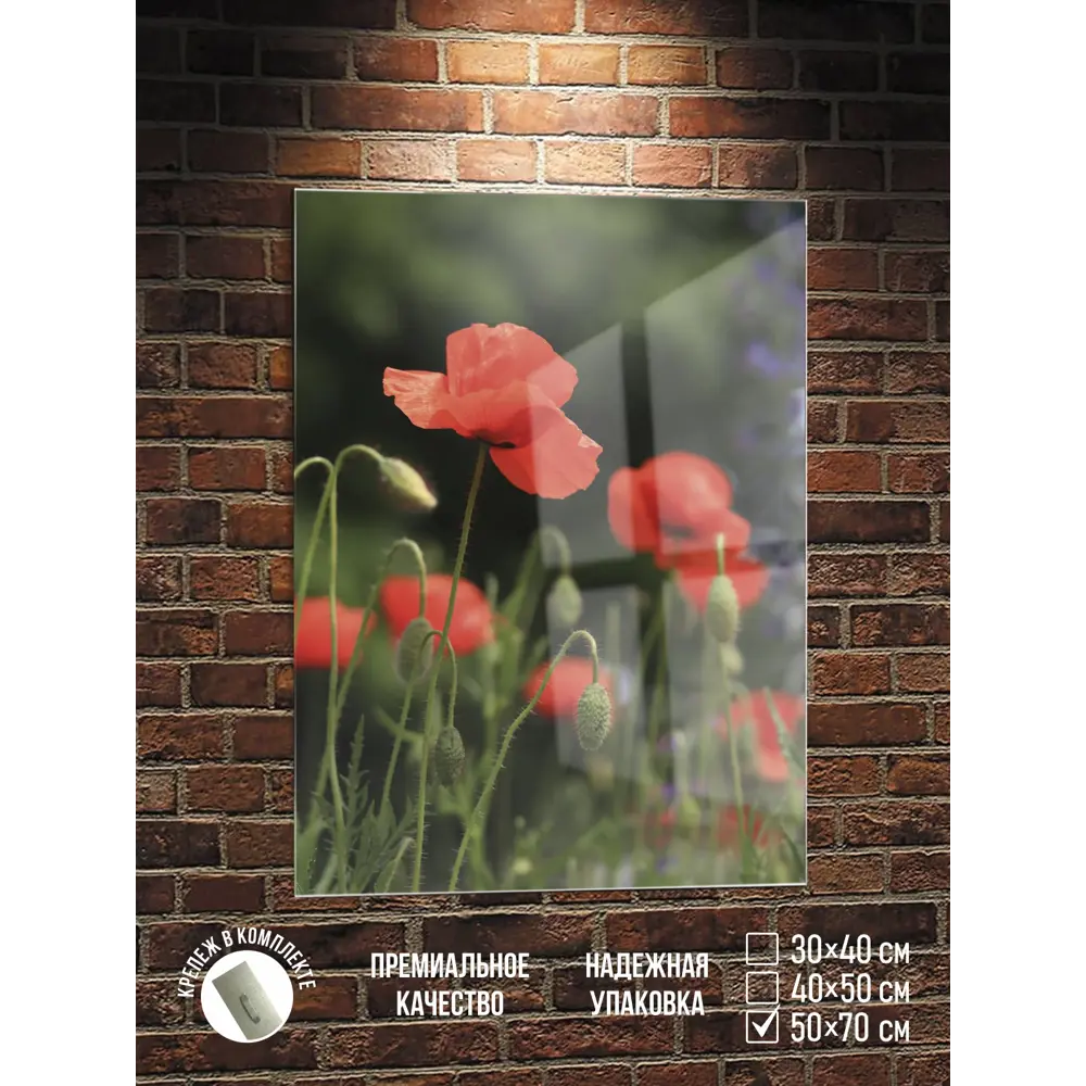 Фото Картина Полицентр Красные маки на лужайке 70x50 см Фото Картина Полицентр Красные маки на лужайке 70x50 см