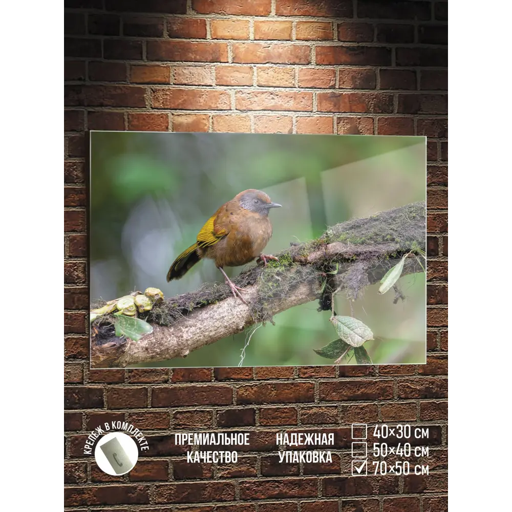 Фото Картина Полицентр Маленькая птичка на ветке 50x70 см