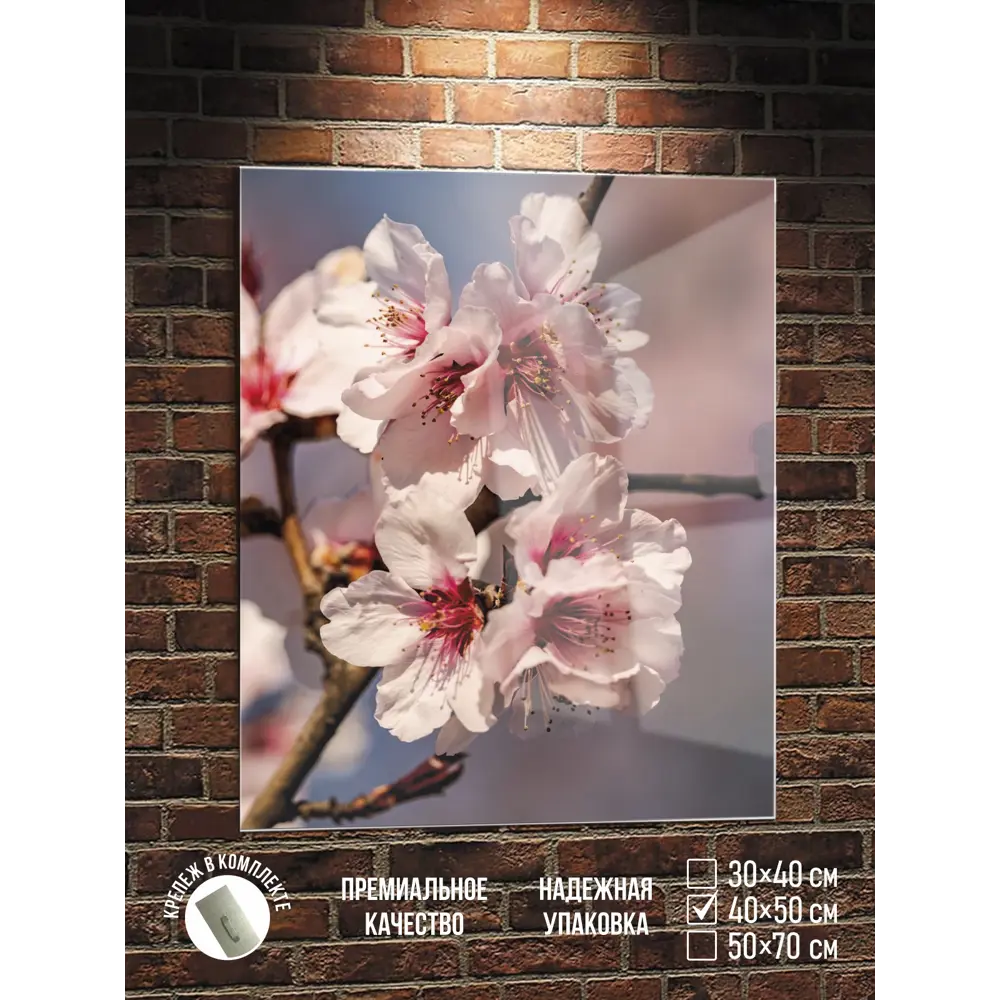 Фото Картина Полицентр Нежные цветы сакуры 50x40 см