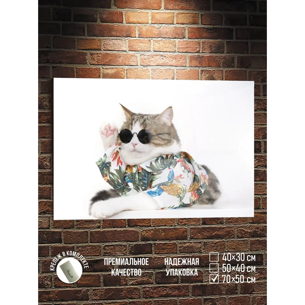 Фото Картина Полицентр Отпуск кота босса в очках 50x70 см Фото Картина Полицентр Отпуск кота босса в очках 50x70 см