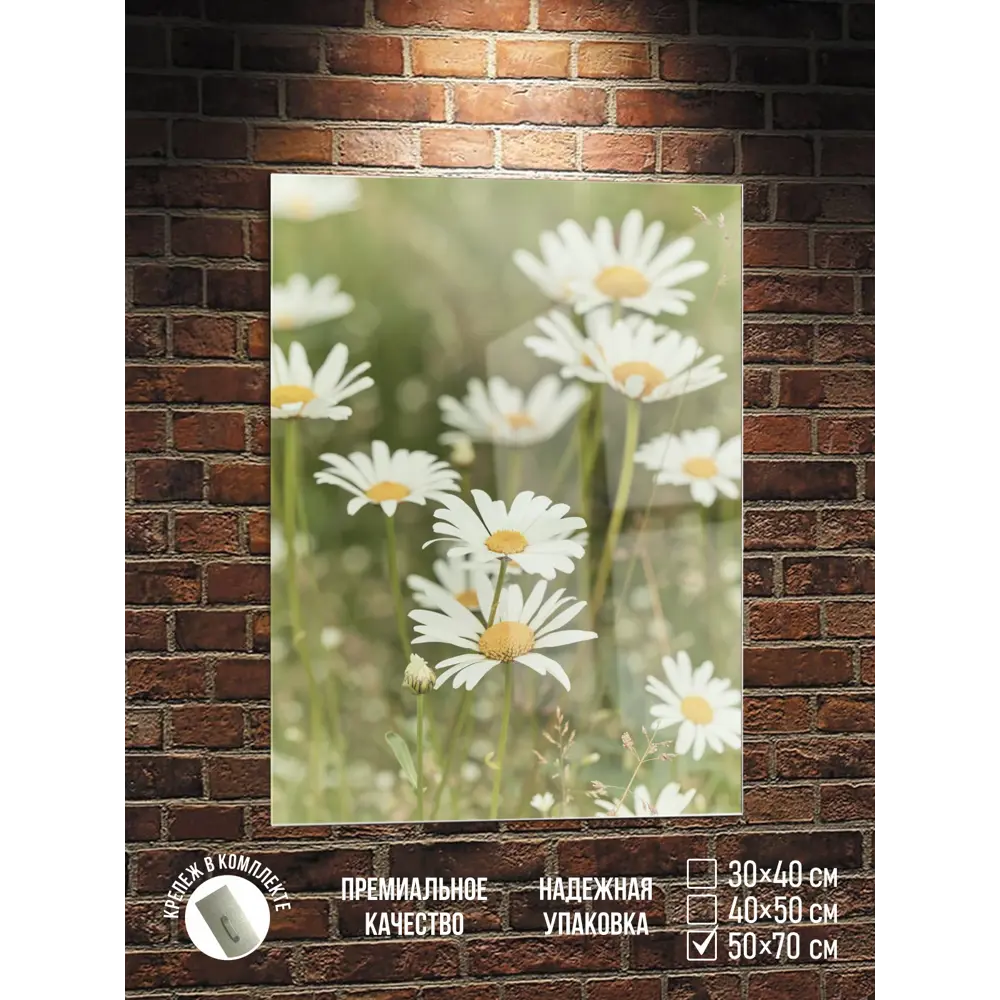 Фото Картина Полицентр Полевые ромашки на поляне 70x50 см Фото Картина Полицентр Полевые ромашки на поляне 70x50 см